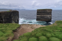 IMG_6658