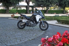 Enduro_terras_bloem