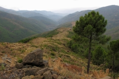 Sierra de Grazelema