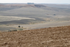 Zuid_Spanje_Cordoba_landschap
